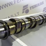 Volvo D13  variklio skirstomasis velenas 21110845