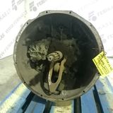 MAN TGA Getriebe 16s181td td - 81320036468, 16s181td